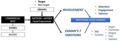 The Emotional Effectiveness of Advertisement
